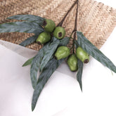 Eucalyptus Gum Nut Pick 34cmH